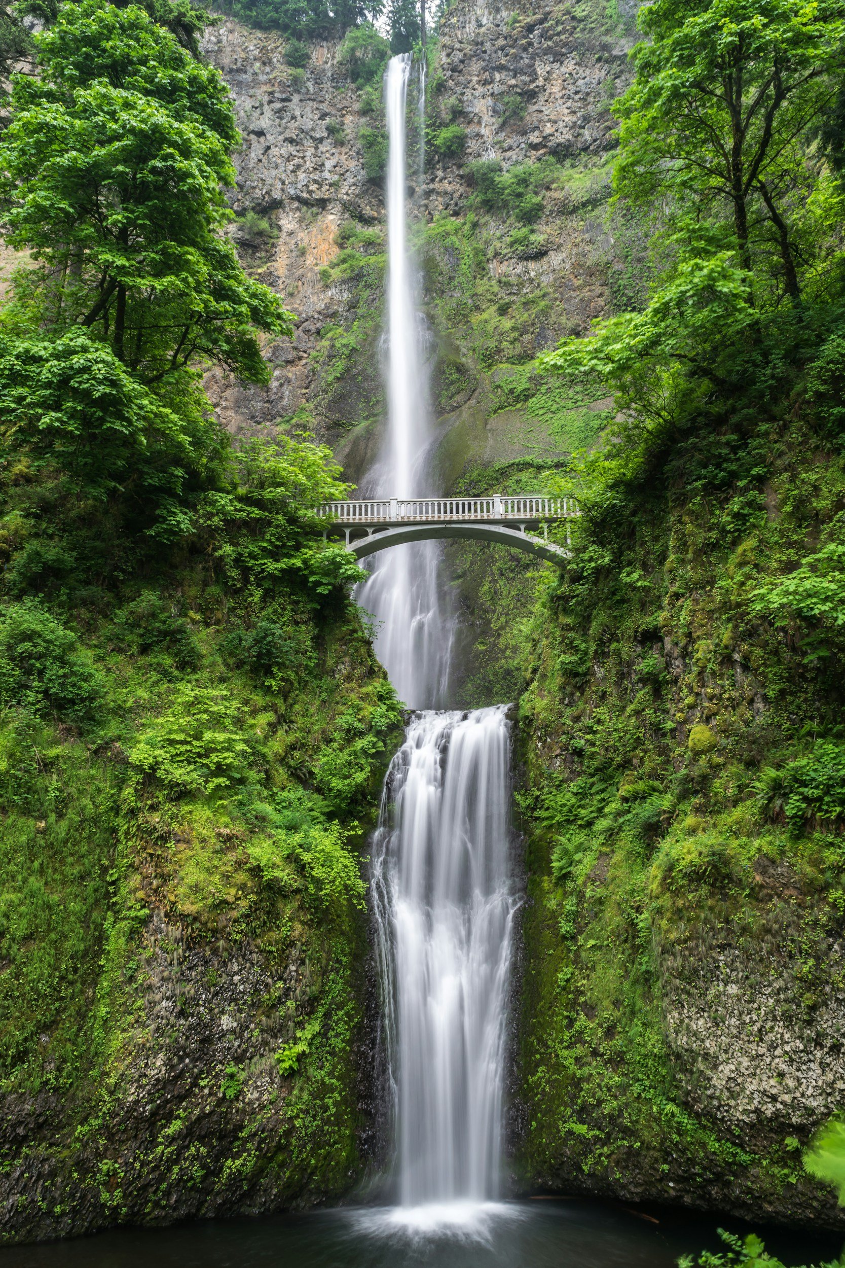 Waterfall — Crystal Bridge Foundation